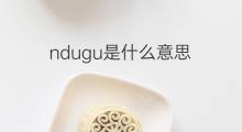 ndugu是什么意思 ndugu的中文翻译、读音、例句