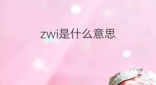 zwi是什么意思 zwi的中文翻译、读音、例句