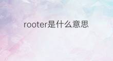rooter是什么意思 rooter的中文翻译、读音、例句