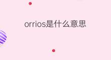 orrios是什么意思 orrios的中文翻译、读音、例句