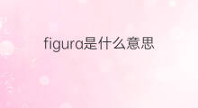 figura是什么意思 figura的中文翻译、读音、例句