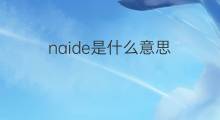 naide是什么意思 naide的中文翻译、读音、例句