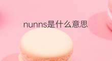 nunns是什么意思 nunns的中文翻译、读音、例句