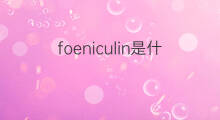 foeniculin是什么意思 foeniculin的中文翻译、读音、例句