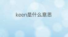 keen是什么意思 keen的中文翻译、读音、例句