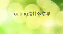 routing是什么意思 routing的中文翻译、读音、例句