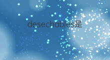 desechables是什么意思 desechables的中文翻译、读音、例句