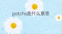 patchs是什么意思 patchs的中文翻译、读音、例句