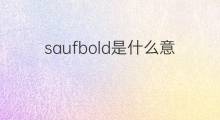 saufbold是什么意思 saufbold的中文翻译、读音、例句