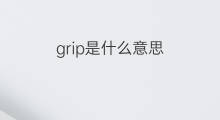 grip是什么意思 grip的中文翻译、读音、例句