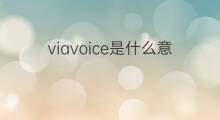 viavoice是什么意思 viavoice的中文翻译、读音、例句