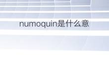 numoquin是什么意思 numoquin的中文翻译、读音、例句