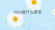 esbs是什么意思 esbs的中文翻译、读音、例句