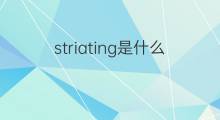 striating是什么意思 striating的中文翻译、读音、例句