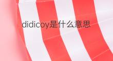 didicoy是什么意思 didicoy的中文翻译、读音、例句