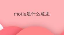 motie是什么意思 motie的中文翻译、读音、例句