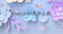 mandolin是什么意思 mandolin的中文翻译、读音、例句