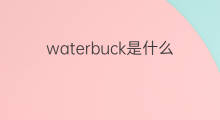 waterbuck是什么意思 waterbuck的中文翻译、读音、例句