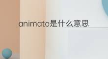 animato是什么意思 animato的中文翻译、读音、例句