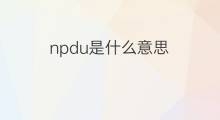 npdu是什么意思 npdu的中文翻译、读音、例句