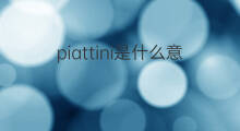 piattini是什么意思 piattini的中文翻译、读音、例句