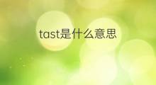 tast是什么意思 tast的中文翻译、读音、例句