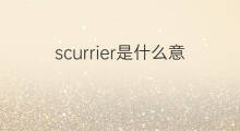 scurrier是什么意思 scurrier的中文翻译、读音、例句