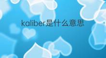 kaliber是什么意思 kaliber的中文翻译、读音、例句
