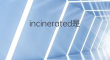 incinerated是什么意思 incinerated的中文翻译、读音、例句