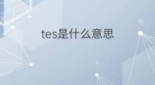 tes是什么意思 tes的中文翻译、读音、例句