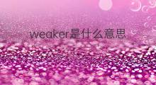 weaker是什么意思 weaker的中文翻译、读音、例句