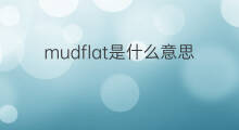 mudflat是什么意思 mudflat的中文翻译、读音、例句