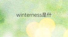winterness是什么意思 winterness的中文翻译、读音、例句