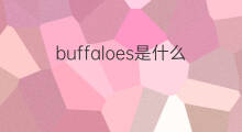 buffaloes是什么意思 buffaloes的中文翻译、读音、例句