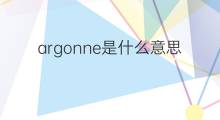 argonne是什么意思 argonne的中文翻译、读音、例句
