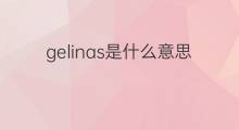 gelinas是什么意思 gelinas的中文翻译、读音、例句