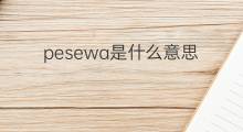 pesewa是什么意思 pesewa的中文翻译、读音、例句