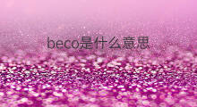 beco是什么意思 beco的中文翻译、读音、例句