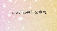 nawzad是什么意思 nawzad的中文翻译、读音、例句
