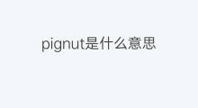 pignut是什么意思 pignut的中文翻译、读音、例句