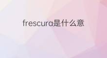 frescura是什么意思 frescura的中文翻译、读音、例句