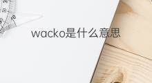 wacko是什么意思 wacko的中文翻译、读音、例句