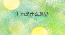 flim是什么意思 flim的中文翻译、读音、例句
