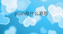 polin是什么意思 polin的中文翻译、读音、例句