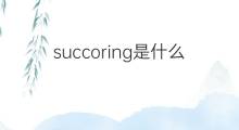 succoring是什么意思 succoring的中文翻译、读音、例句