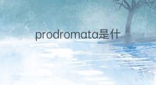 prodromata是什么意思 prodromata的中文翻译、读音、例句