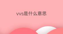 vvs是什么意思 vvs的中文翻译、读音、例句