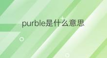 purble是什么意思 purble的中文翻译、读音、例句