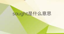 saught是什么意思 saught的中文翻译、读音、例句