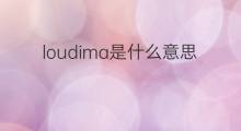 loudima是什么意思 loudima的中文翻译、读音、例句